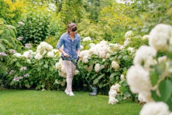 Bosch Tuingereedschap EasyGrassCut 18V-230 Accu Trimmer | 23 Cm | 18 Volt 2,0 Ah Li-Ion [0.600.8C1.A03] -Bosch Winkel Bosch Tuin EasyGrassCut 18 230 0.600.8C1.A00 ext 3