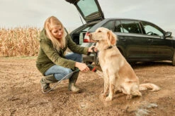 Bosch Tuingereedschap Fontus 18V Allesreiniger | 20 Bar | 15L | 1x Accu 18V 2.5Ah | +Accessoires [0.600.8B6.101] -Bosch Winkel Bosch Tuin Fontus 0.600.8B6.000 ext 11